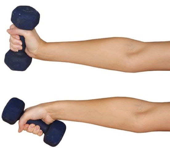 Radial and ulnar deviation dumbbell exercise