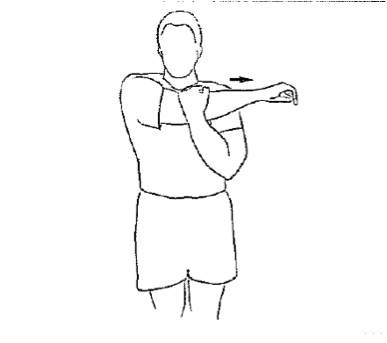 Across-the-chest stretch, pulling the elbow across the body